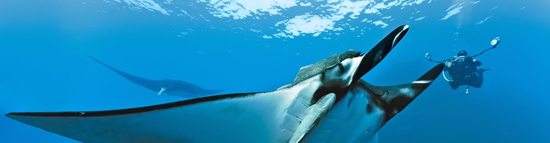 North - Ras Mohamed - Tiran - Dahab